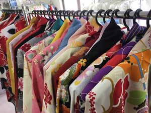 衣裳写真その2（クリックで拡大）