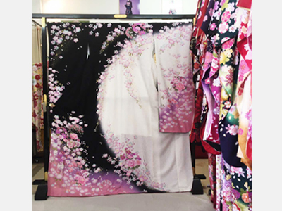 衣裳写真その5（クリックで拡大）